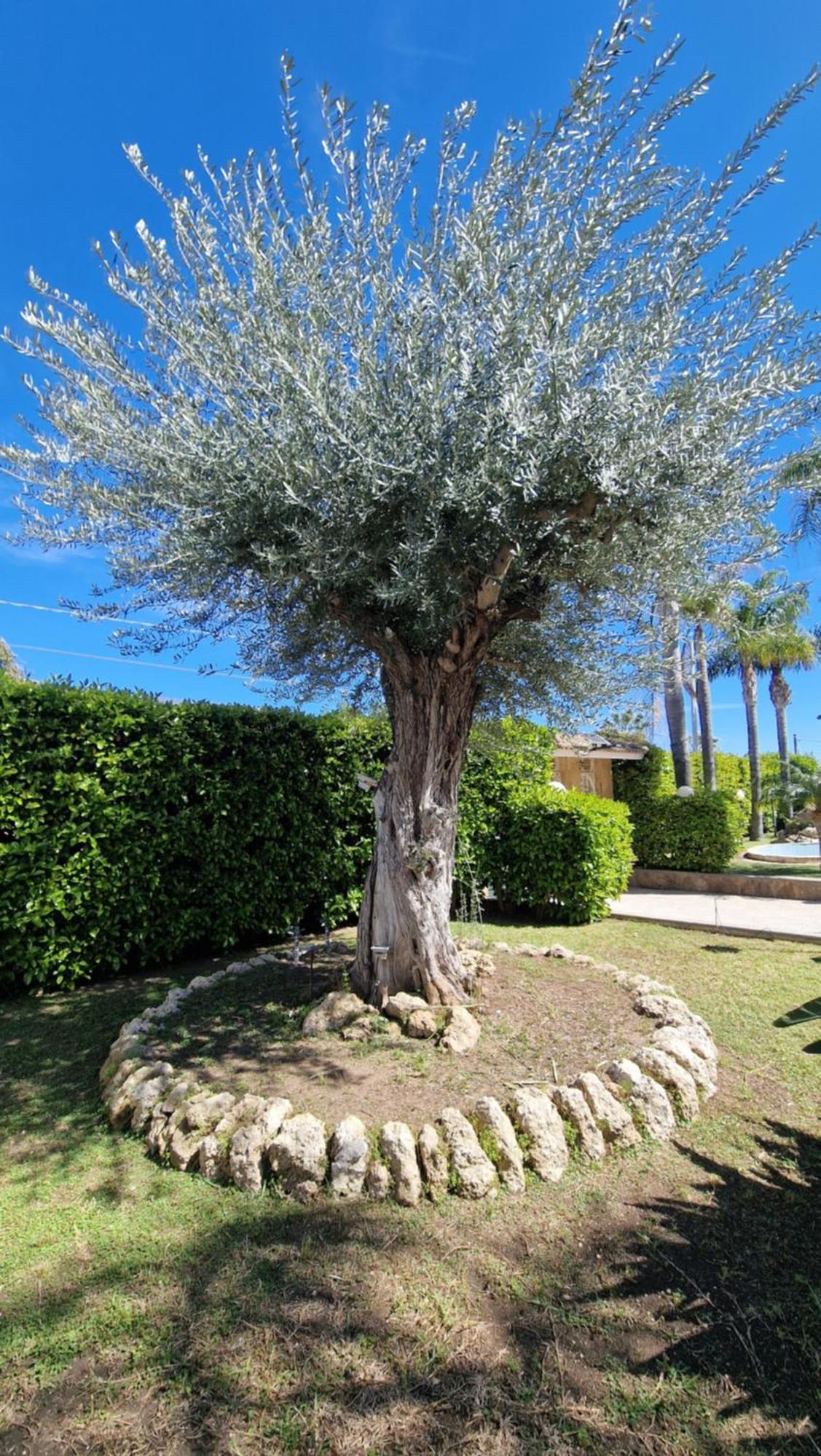 Villa Carlotta Brucoli Exteriör bild